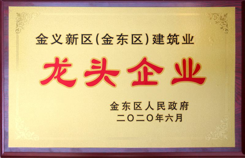 2020年 龍頭企業(yè)